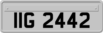 IIG2442
