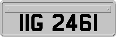 IIG2461