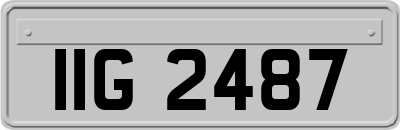 IIG2487