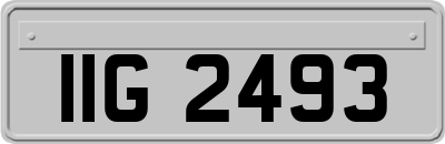 IIG2493
