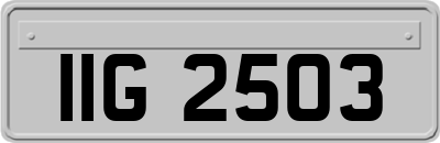IIG2503