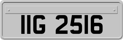 IIG2516