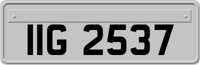 IIG2537