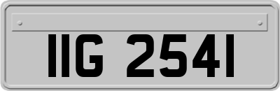 IIG2541