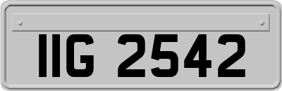IIG2542