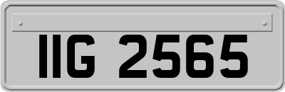 IIG2565