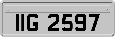 IIG2597