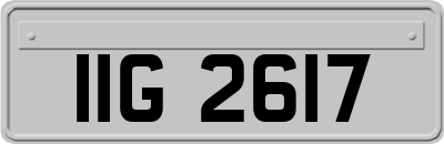 IIG2617
