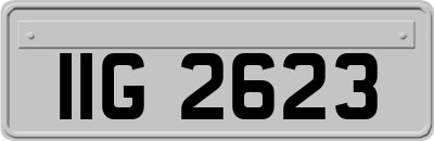 IIG2623