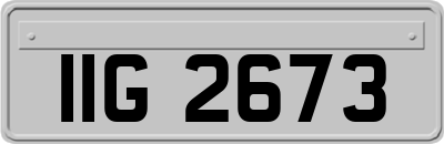 IIG2673