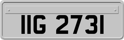 IIG2731