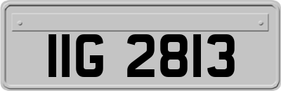 IIG2813