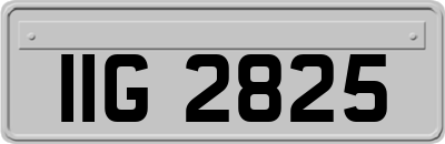 IIG2825