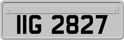 IIG2827
