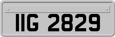 IIG2829