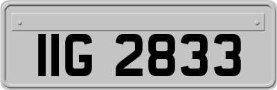 IIG2833