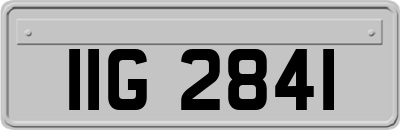 IIG2841