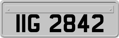 IIG2842