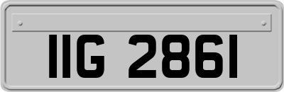 IIG2861