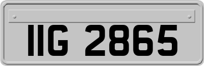 IIG2865