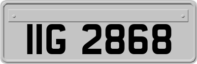 IIG2868