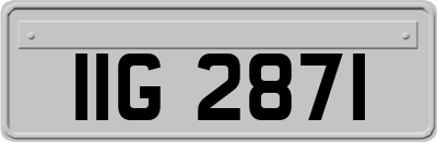 IIG2871