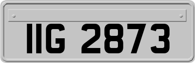 IIG2873