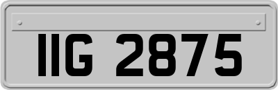 IIG2875