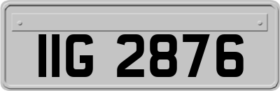 IIG2876