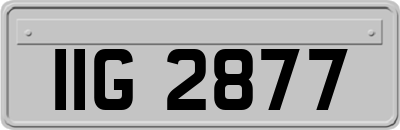 IIG2877