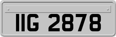 IIG2878