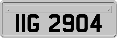 IIG2904