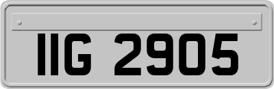 IIG2905
