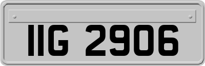 IIG2906