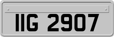 IIG2907
