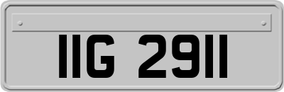 IIG2911