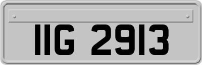 IIG2913