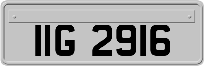 IIG2916