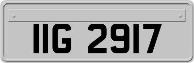 IIG2917