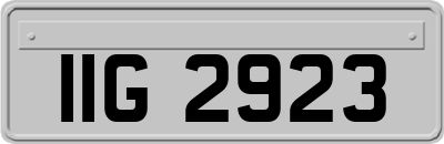 IIG2923