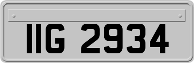IIG2934