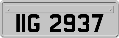 IIG2937