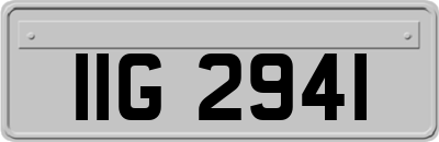 IIG2941
