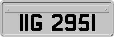 IIG2951
