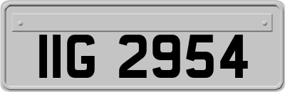 IIG2954