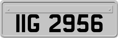 IIG2956