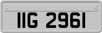 IIG2961