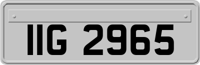 IIG2965