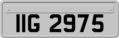 IIG2975