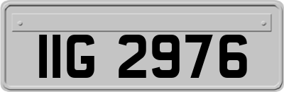 IIG2976